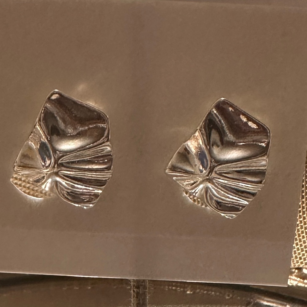 Silver Clip Earrings